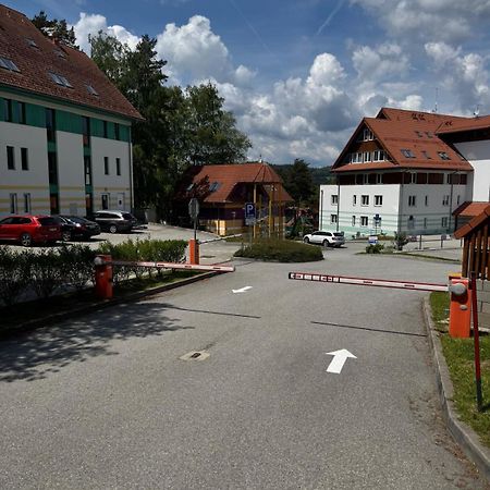 Apartman Kapy Lipno Lipno nad Vltavou Eksteriør billede